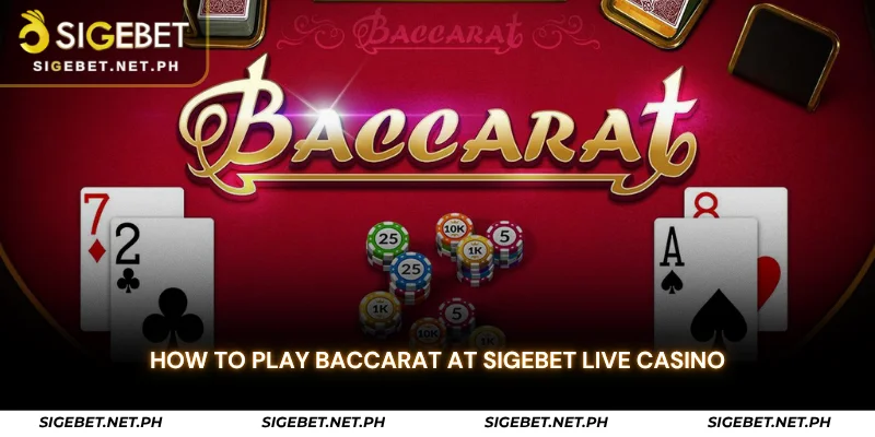how to play baccarat at sigebet live casino
