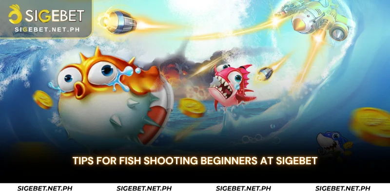 tips for fish shooting beginners at sigebet