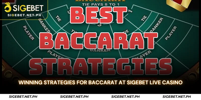 winning strategies for baccarat at sigebet live casino
